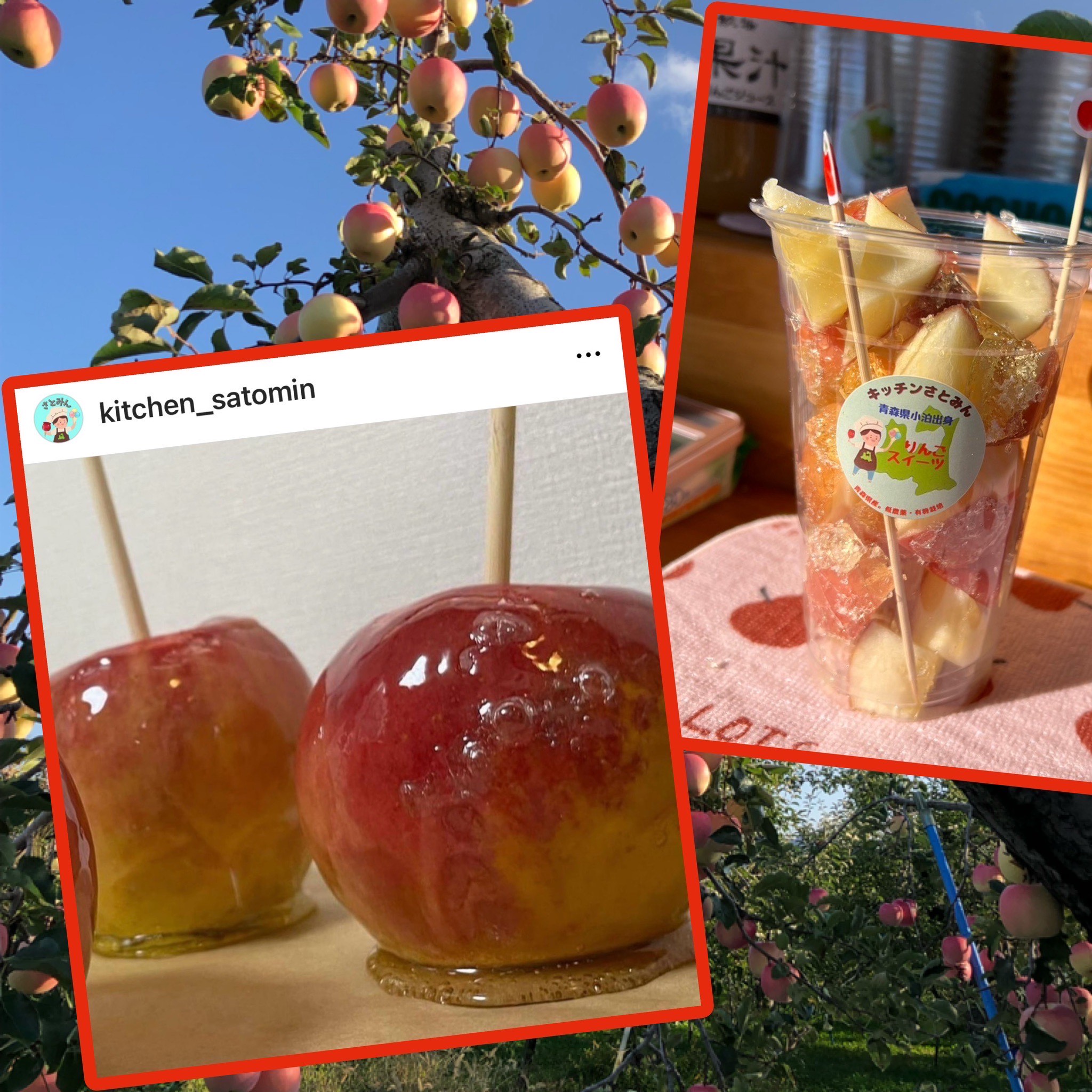 旬のりんごを使った 「りんご飴」などのりんご菓子・青森のソウルフフード「カランカランアイス」を販売しています！
